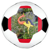 Meerjungfrau Fußball (Gedreht)