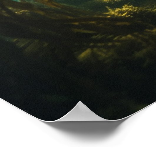 Meerjungfrau in einem Kelpenwald Poster (Ecke)