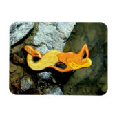 Meerjungfrau Magnet (Horizontal)