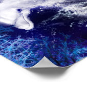 Meerjungfrau mit Dolphin Poster (Ecke)