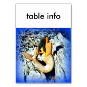 Meerjungfrau Tischnummer (Vorderseite)