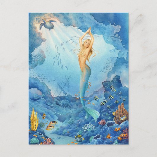 Meerjungfrau und Delphine von Schotte Howden Postkarte (Vorderseite)