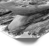 Meerjungfrau und Dolphin Poster (Ecke)