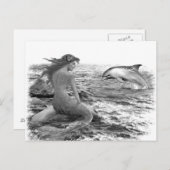 Meerjungfrau und Dolphin Postkarte (Vorne/Hinten)