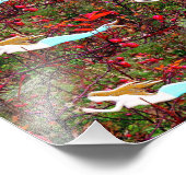 Meerjungfrauen schwimmen fotodruck (Ecke)