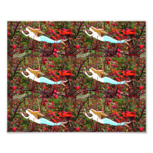 Meerjungfrauen schwimmen fotodruck