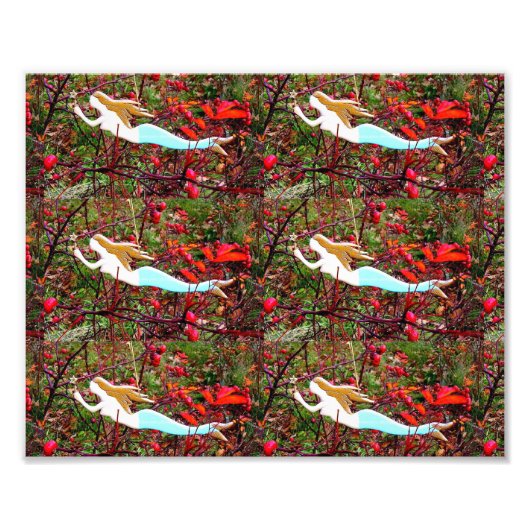 Meerjungfrauen schwimmen fotodruck (Vorne)