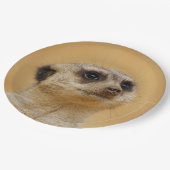 Meerkat2011101 Pappteller (Schrägansicht)