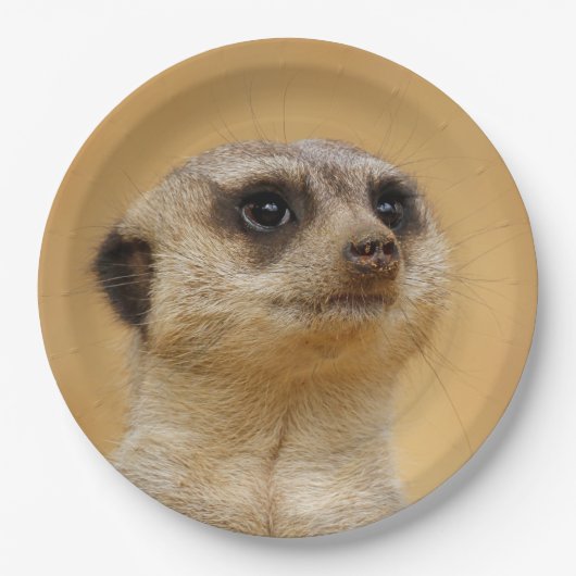 Meerkat2011101 Pappteller (Vorderseite)