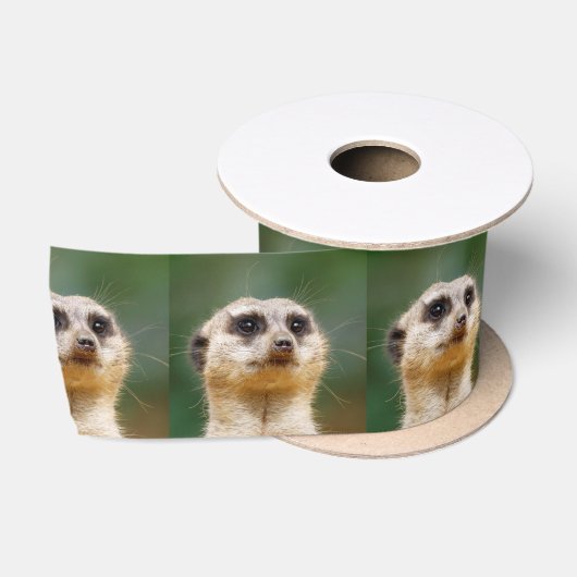 Meerkat20151001 Satinband (Spule)