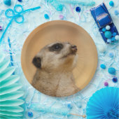 Meerkat20151002 Pappteller (Party)