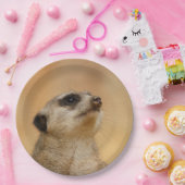 Meerkat20151002 Pappteller (Party)