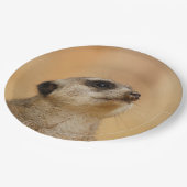 Meerkat20151002 Pappteller (Schrägansicht)