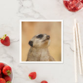 Meerkat20151002 Serviette (Beispiel)