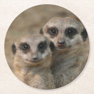 Meerkat20151015 Runder Pappuntersetzer