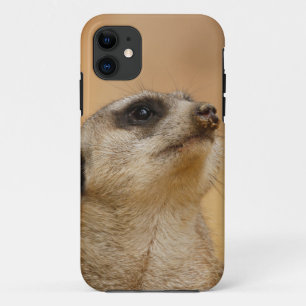 Meerkat_001_by_JAMFoto Case-Mate iPhone Hülle
