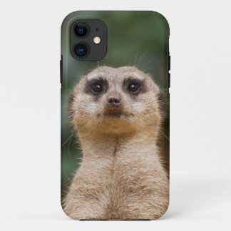 Meerkat 001 Case-Mate iPhone hülle