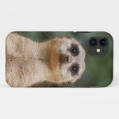 Meerkat 001 Case-Mate iPhone hülle (Rückseite (Horizontal))