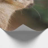 Meerkat 001 geschenkpapier (Ecke)
