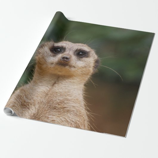 Meerkat 001 geschenkpapier (Ungerollt)