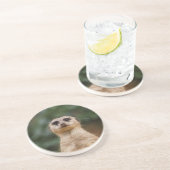 Meerkat 001 getränkeuntersetzer (Seite)