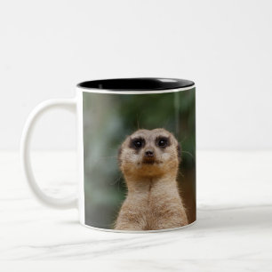 Meerkat 001 zweifarbige tasse