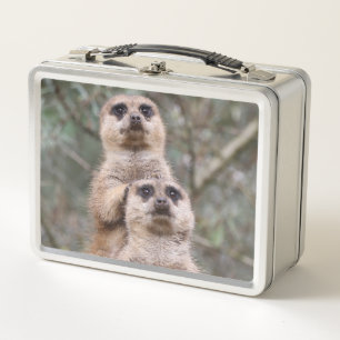 Meerkat_002_by_JAMFoto Metall Brotdose