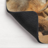 Meerkat 002 mousepad (Ecke)