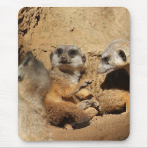 Meerkat 002 mousepad