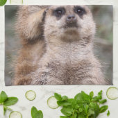 Meerkat 002 von JAMFoto Geschirrtuch (Gefaltet)