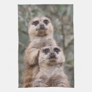Meerkat 002 von JAMFoto Geschirrtuch