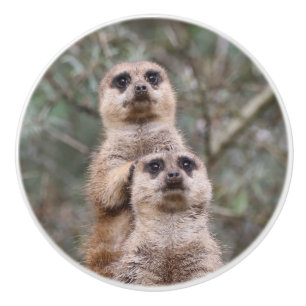 Meerkat 002 von JAMFoto Keramikknauf