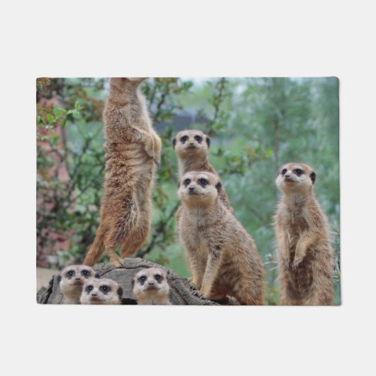 Meerkat_003 Fußmatte (Vorderseite)
