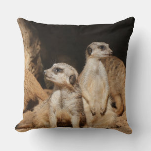 Meerkat 003 kissen