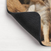 Meerkat 003 mousepad (Ecke)
