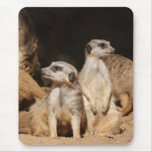Meerkat 003 mousepad