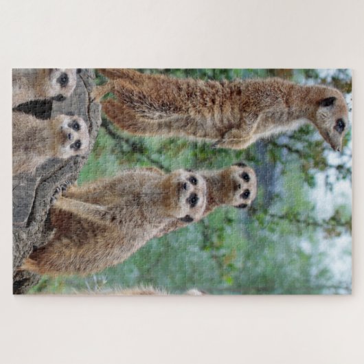 Meerkat_003 Puzzle (Horizontal)