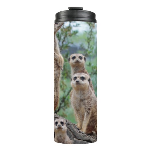 Meerkat_003 Thermosbecher (Vorderseite)