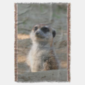 Meerkat 004 decke (Vorderseite Vertikal)