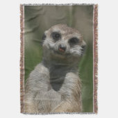 Meerkat 004 decke (Vorderseite Vertikal)