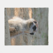 Meerkat 004 fleecedecke (Vorderseite (Horizontal))