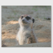 Meerkat 004 geschenkpapier (Flach)
