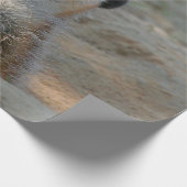 Meerkat 004 geschenkpapier (Ecke)