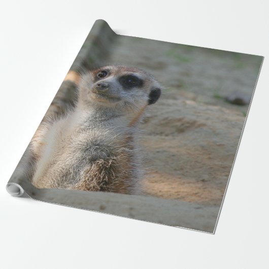 Meerkat 004 geschenkpapier (Ungerollt)