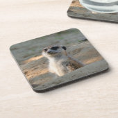 Meerkat 004 getränkeuntersetzer (Linke Seite)