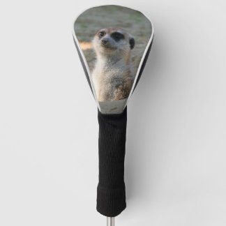 Meerkat 004 golf headcover
