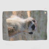 Meerkat 004 golfhandtuch (Horizontal)