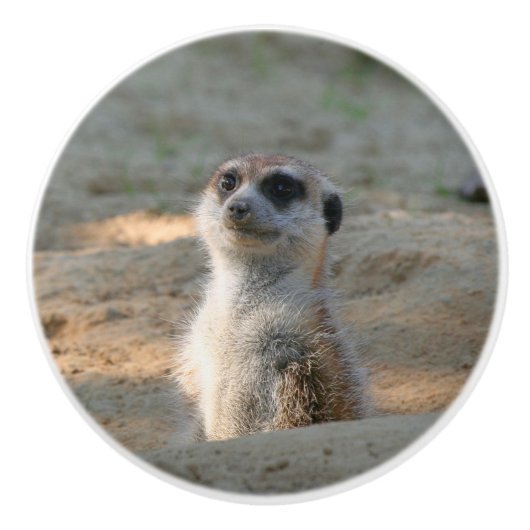 Meerkat 004 keramikknauf (Vorderseite)