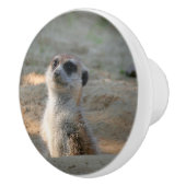 Meerkat 004 keramikknauf (Rechts)