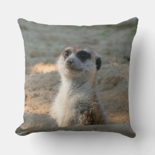 Meerkat 004 kissen